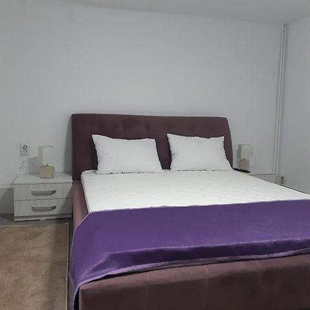 Apartament Magnolia Nearby City Center With Parking Сибиу Экстерьер фото